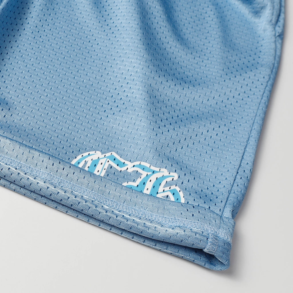 CHROME-HEARTS Matty Boy Mesh Stadium Sports Shorts 9996-2