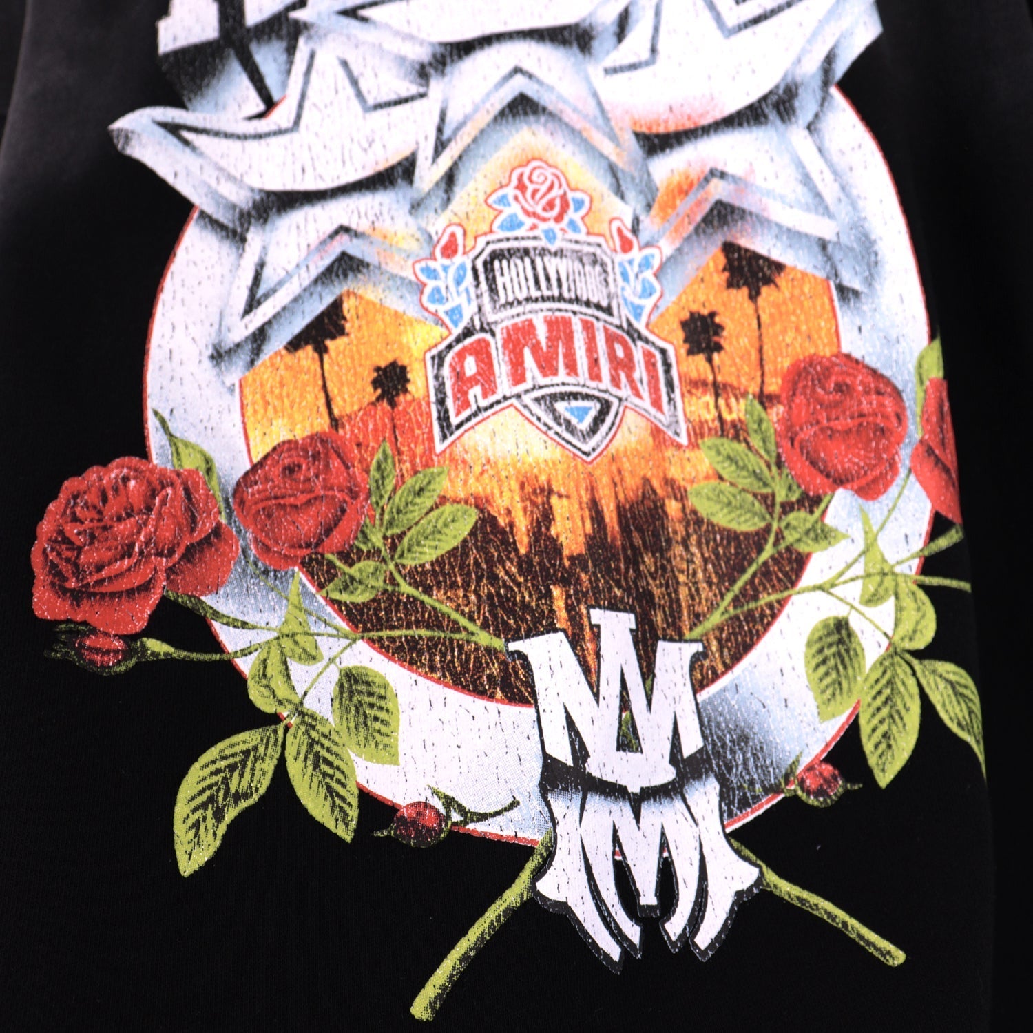 CASADEPT-AMIRI Hoodie